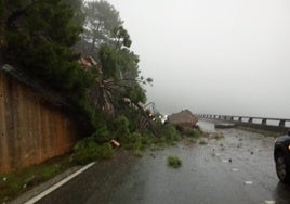 La borrasca Jana deja más de 117 litros en Málaga, cerca de 40 incidencias y una carretera cortada