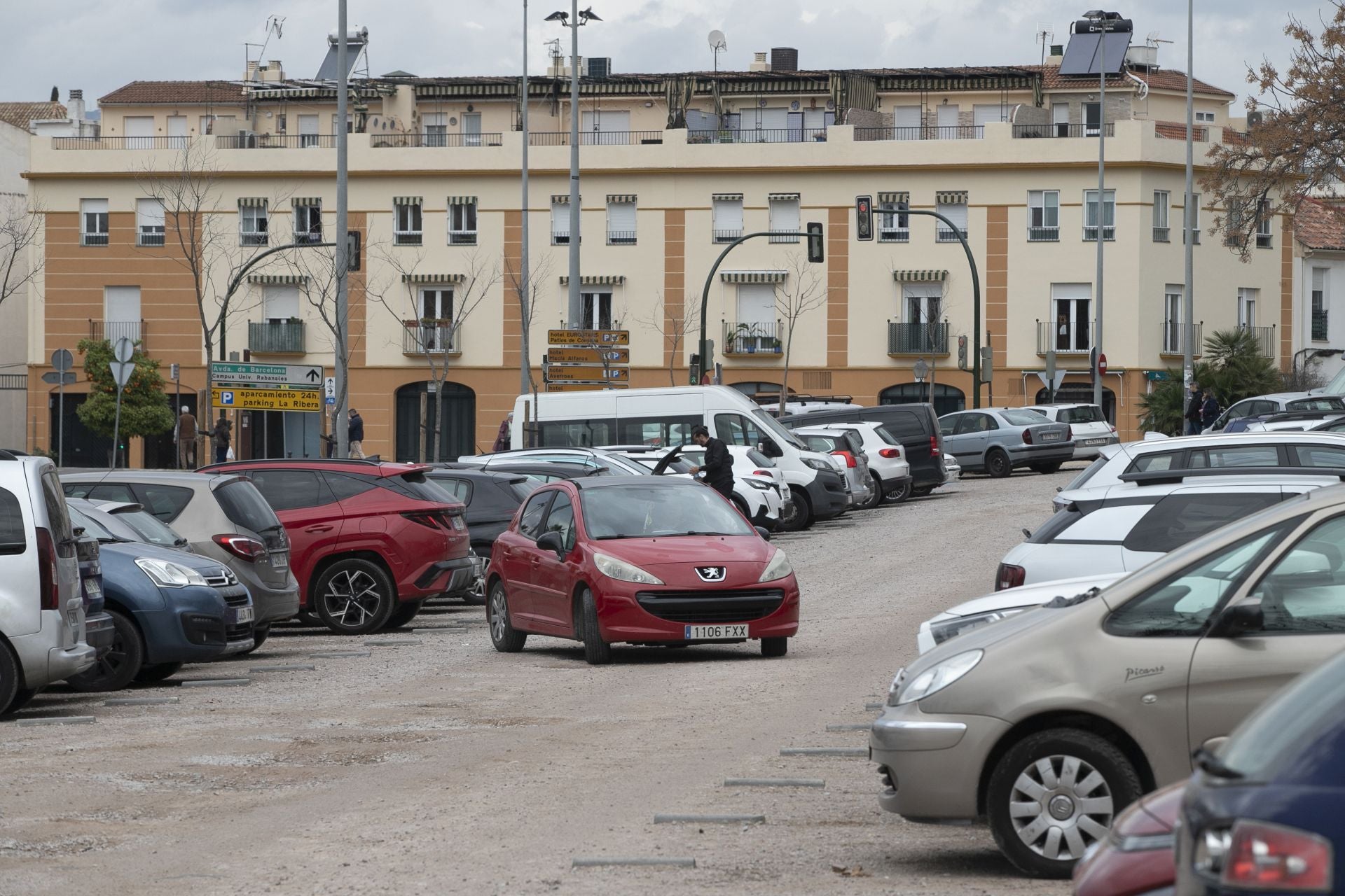 La actividad de los gorrillas en el barrio del Arcángel, en imágenes