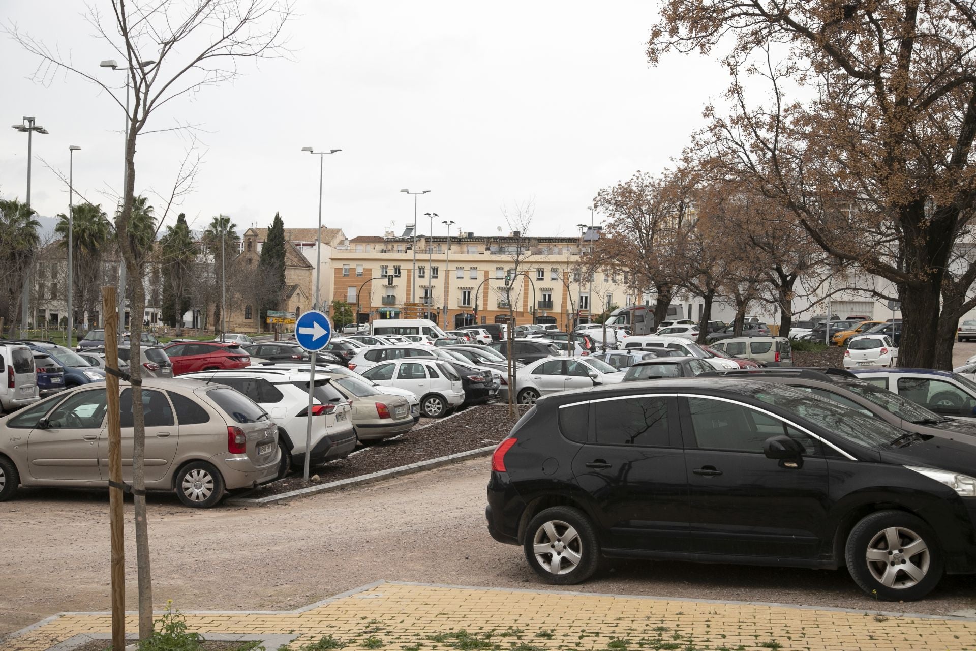 La actividad de los gorrillas en el barrio del Arcángel, en imágenes