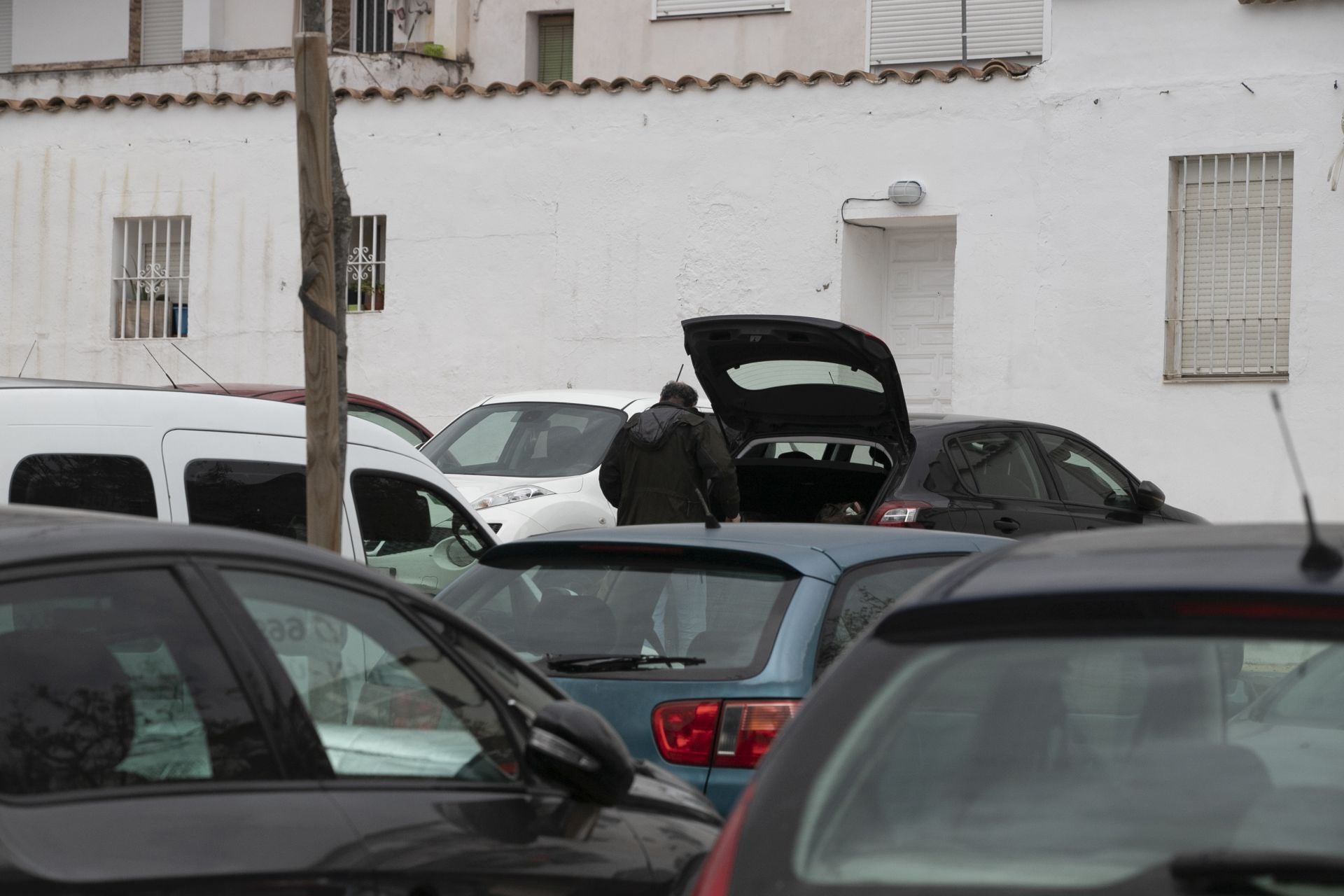 La actividad de los gorrillas en el barrio del Arcángel, en imágenes