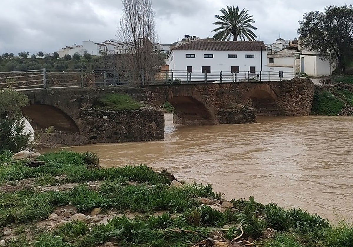 Imagen de este sábado del río Turón a su paso por la localidad malagueña de Ardales