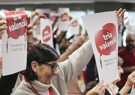 El contradictorio boicot de la izquierda a la elección de valenciano o castellano: «Son los mismos que llaman a votar sobre la jornada continua»