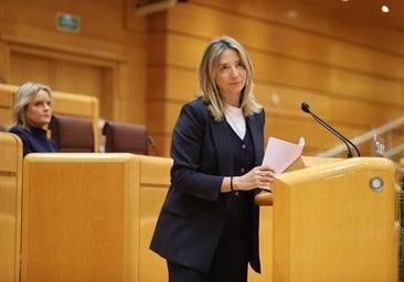 La portavoz del Partido Popular en el Senado, Alicia García