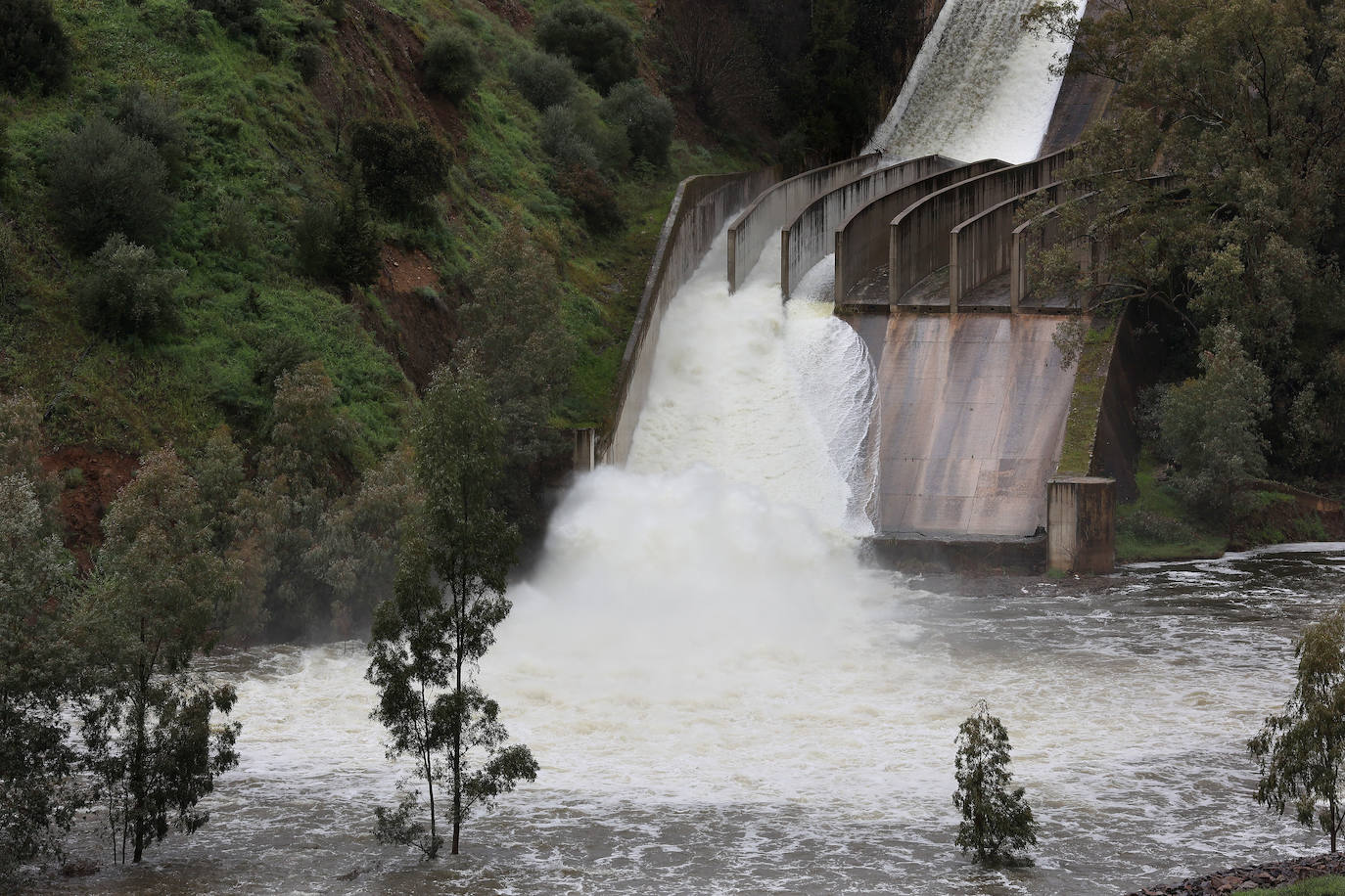 La notable crecida del río Guadalquivir, en imágenes