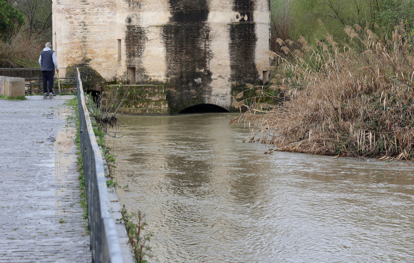 La notable crecida del río Guadalquivir, en imágenes