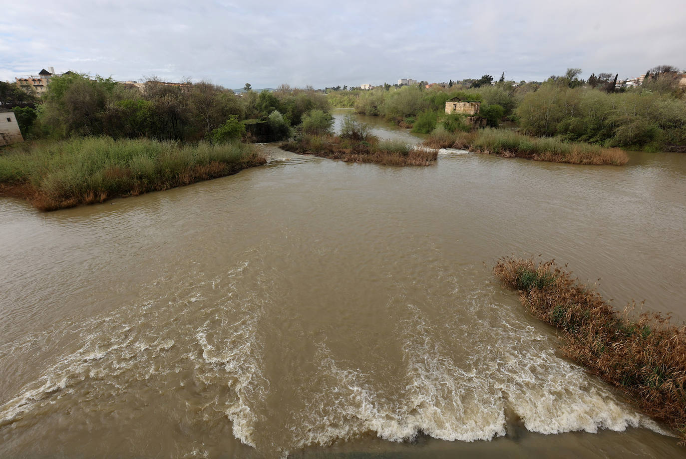 La notable crecida del río Guadalquivir, en imágenes