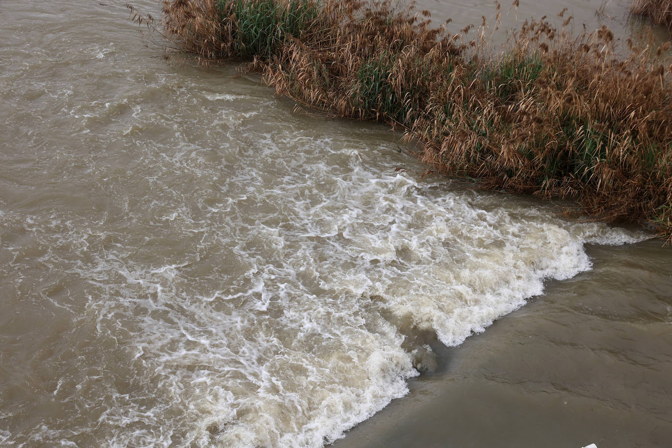 La notable crecida del río Guadalquivir, en imágenes