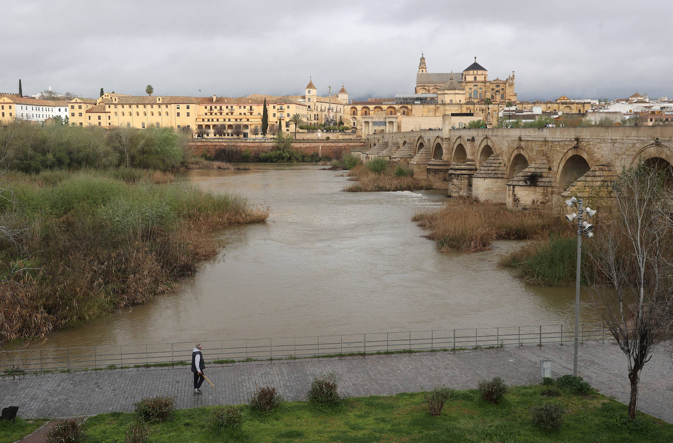 La notable crecida del río Guadalquivir, en imágenes