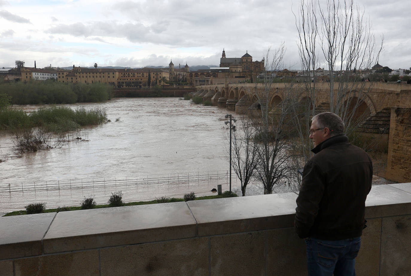 La espectacular subida del nivel del río Guadalquivir, en imágenes