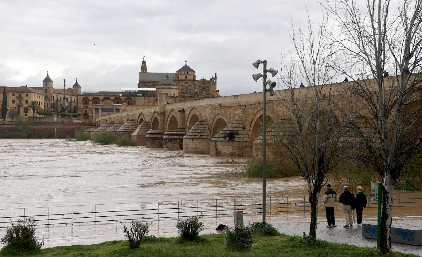 La espectacular subida del nivel del río Guadalquivir, en imágenes