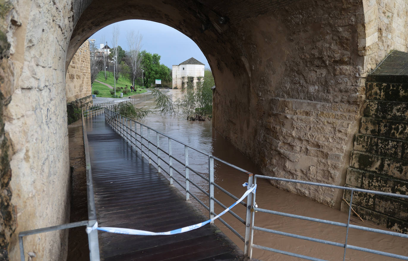 La espectacular subida del nivel del río Guadalquivir, en imágenes