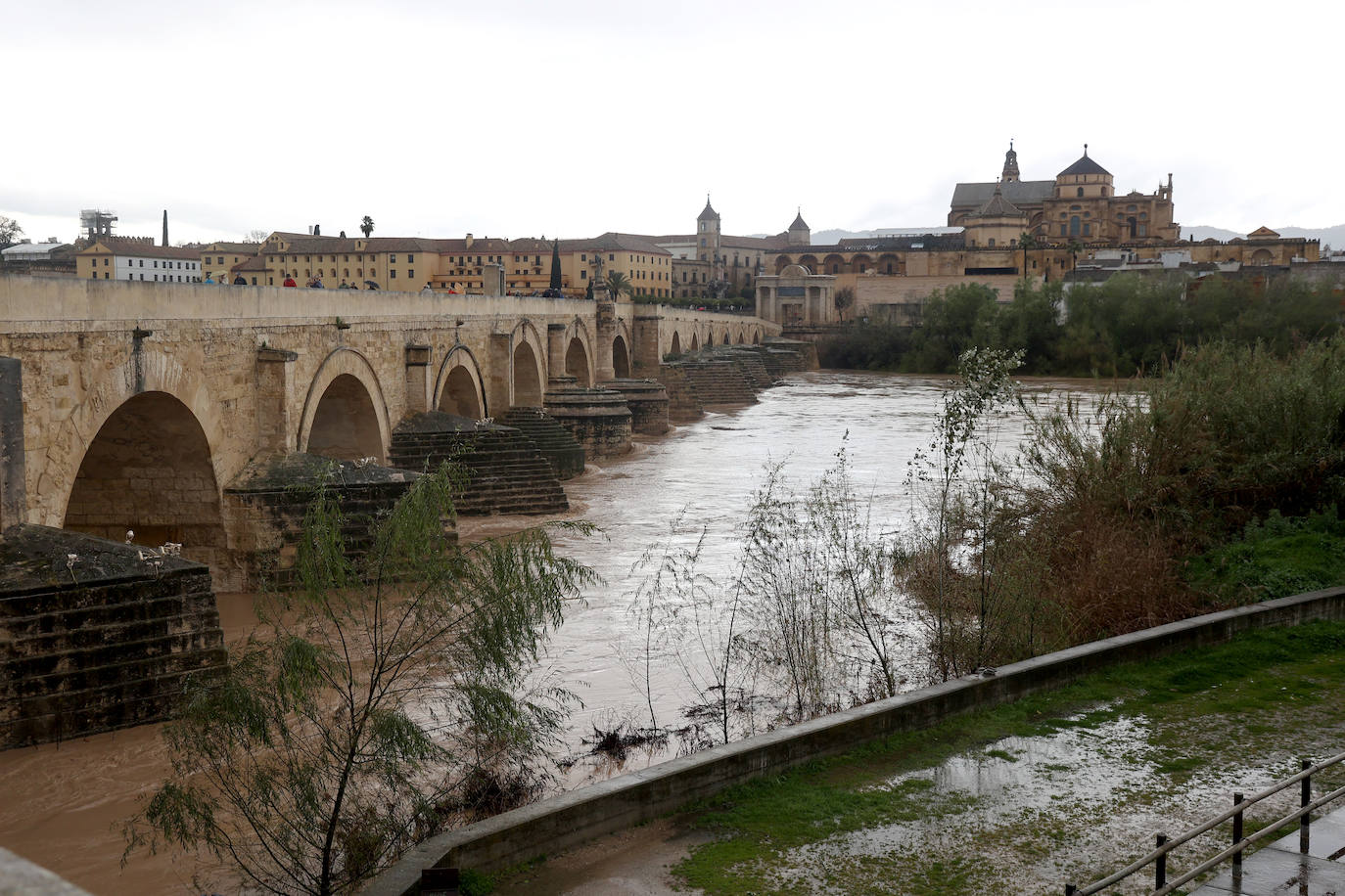 La espectacular subida del nivel del río Guadalquivir, en imágenes
