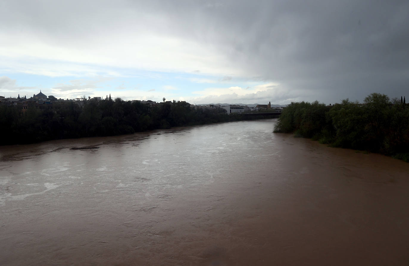 La espectacular subida del nivel del río Guadalquivir, en imágenes
