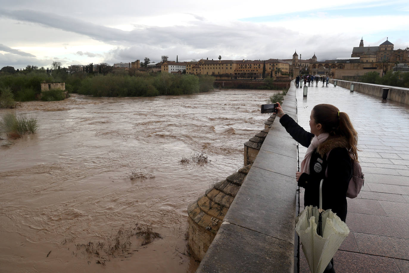 La espectacular subida del nivel del río Guadalquivir, en imágenes