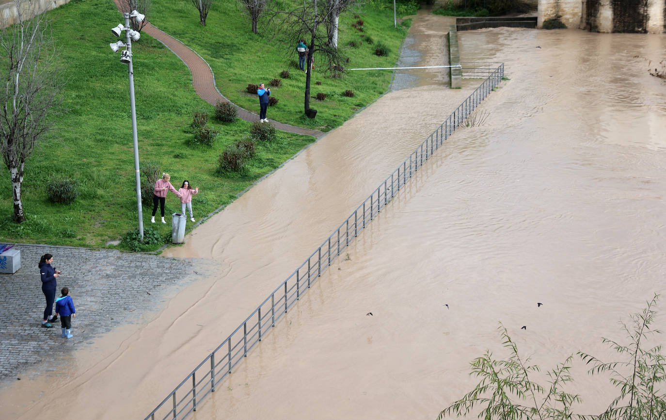 La espectacular subida del nivel del río Guadalquivir, en imágenes