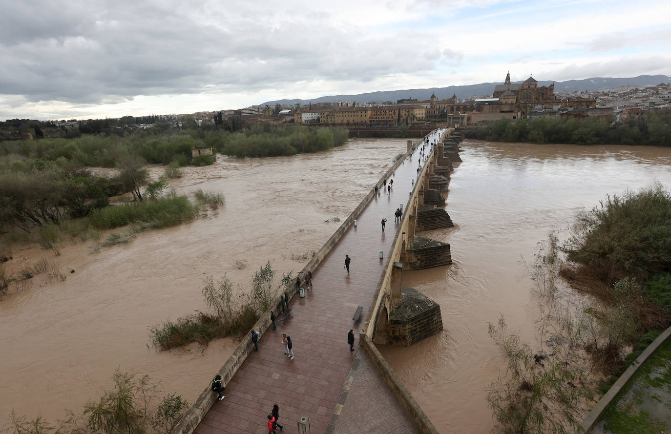 La espectacular subida del nivel del río Guadalquivir, en imágenes