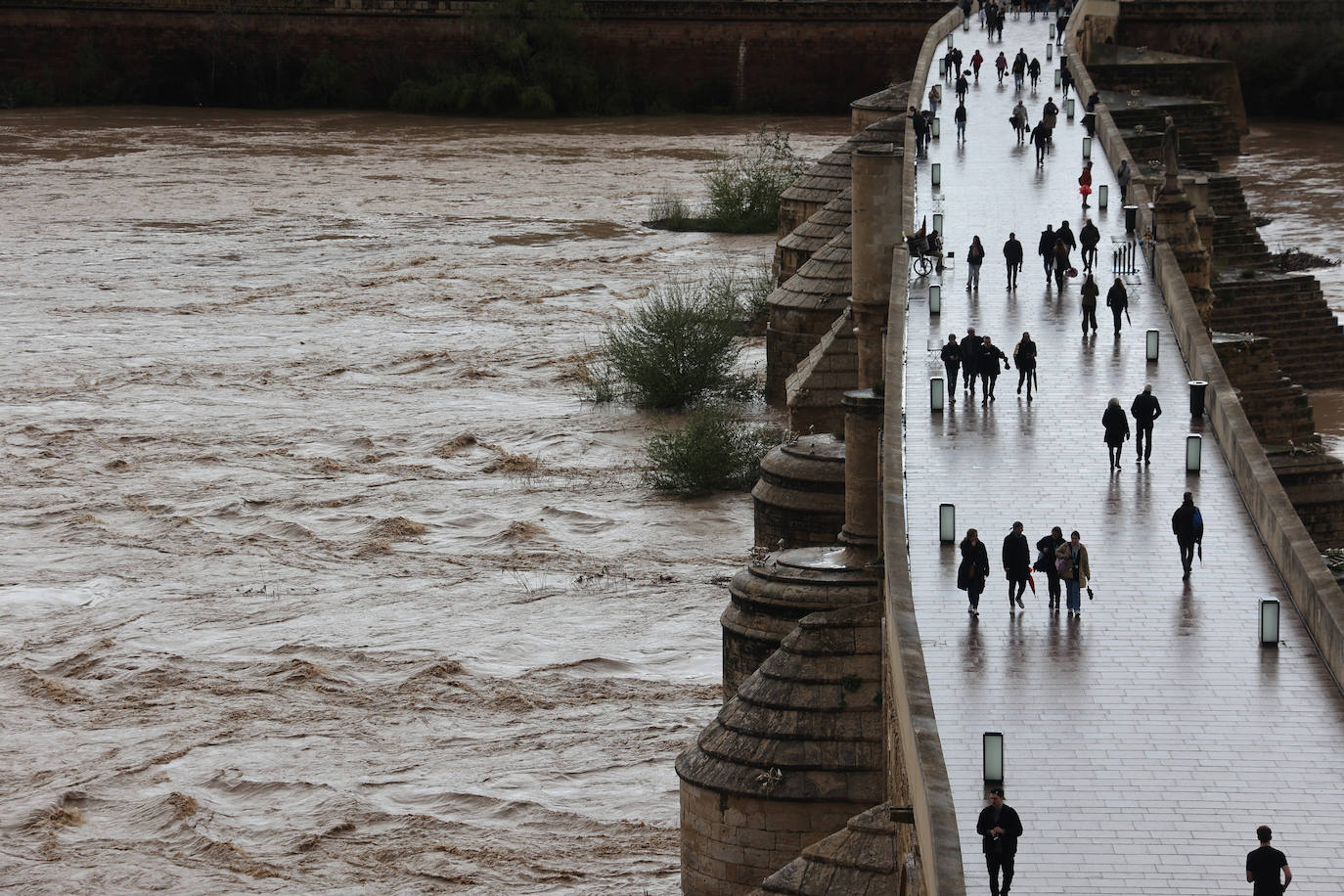 La espectacular subida del nivel del río Guadalquivir, en imágenes