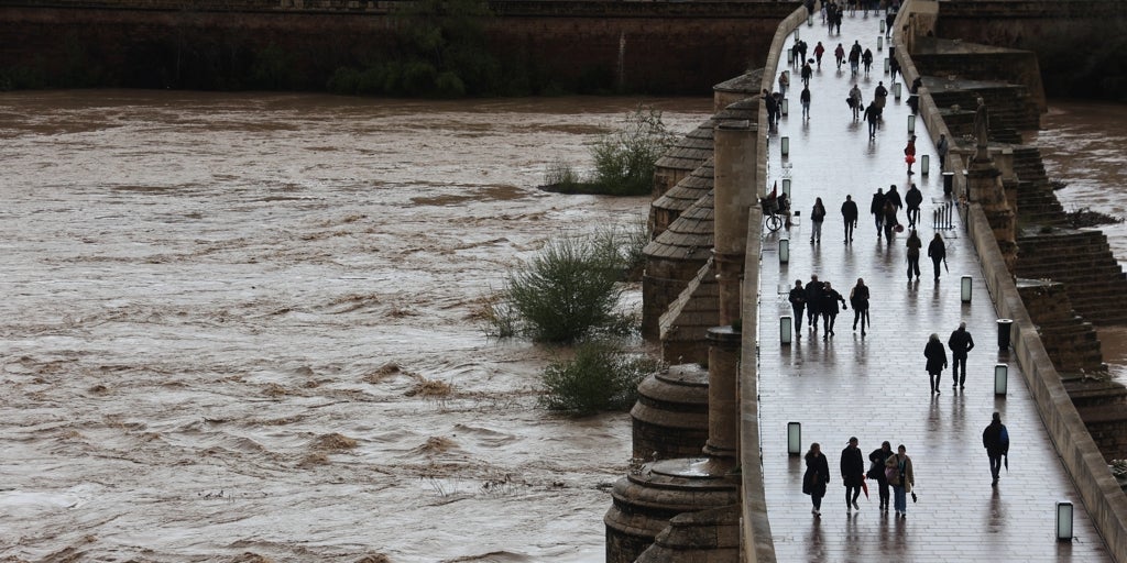 El río Guadalquivir alcanza el umbral naranja de riesgo durante horas por la crecida de su nivel en Córdoba