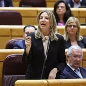 Alicia García, portavoz del PP en el Senado, durante un Pleno