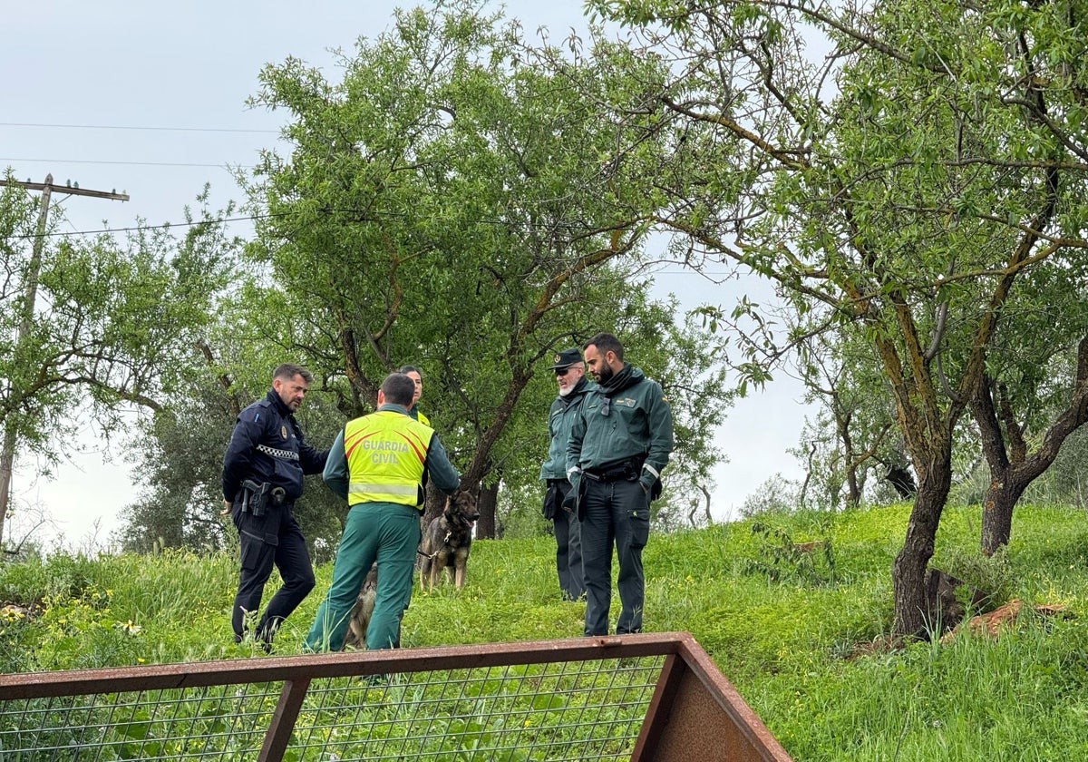 Búsqueda del anciano en una finca de su propiedad