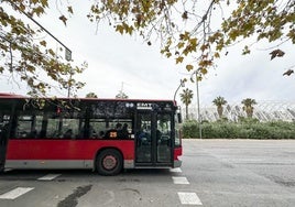 Fallas Valencia 2025: los autobuses de la EMT circularán las 24 horas del día