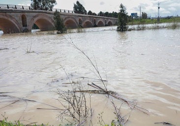 Desalojan a 200 personas en Jerez por la crecida del río Guadalete y suspenden clases en colegios