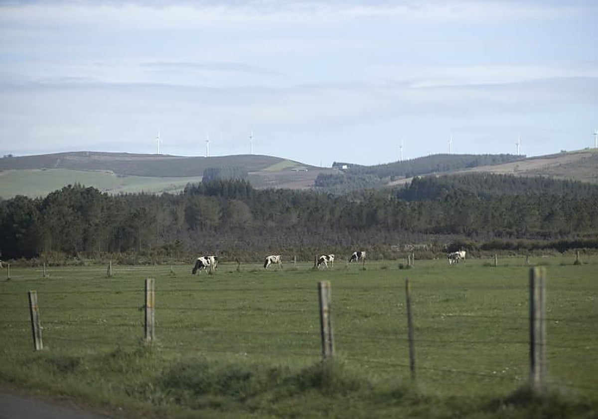 Altri, tras el aval ambiental para su planta en Lugo: «Marcará un hito en la industria textil»
