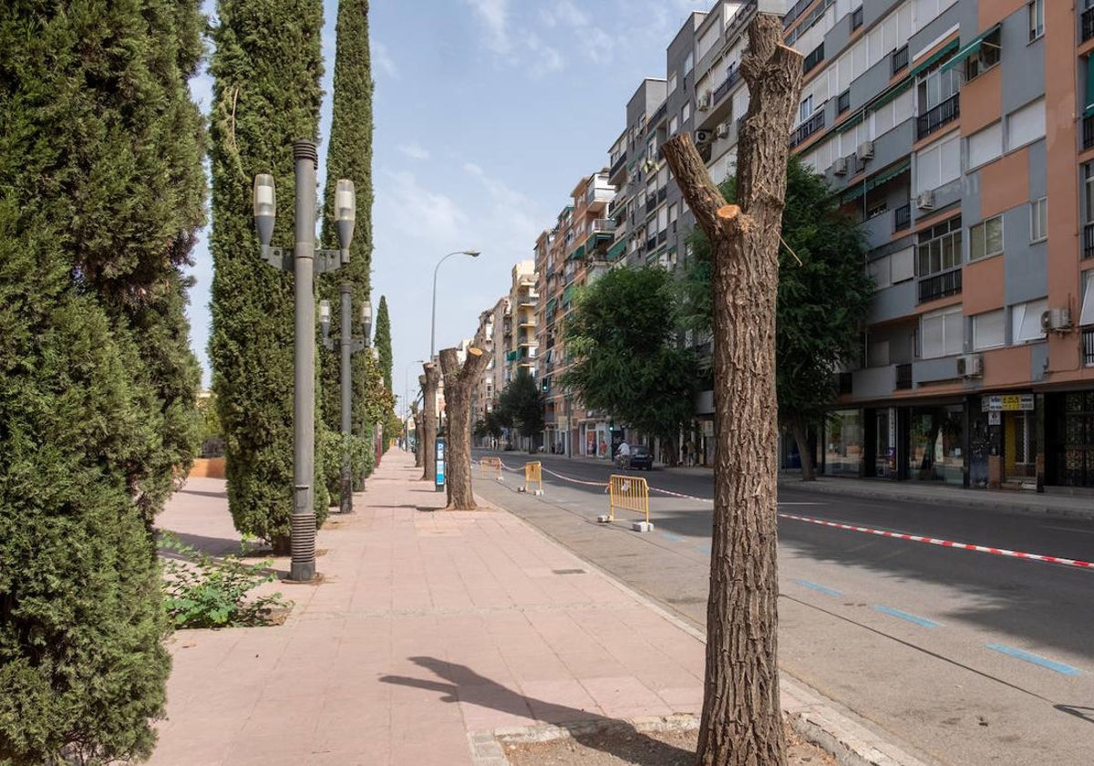 Calle Arabial, frente al parque Federico García Lorca, donde está el local de trasteros