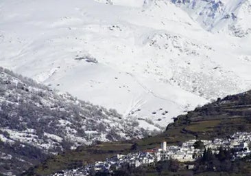 La Guardia Civil rescata varios animales de granja que quedaron atrapados por la nieve en un cortijo de la Alpujarra granadina