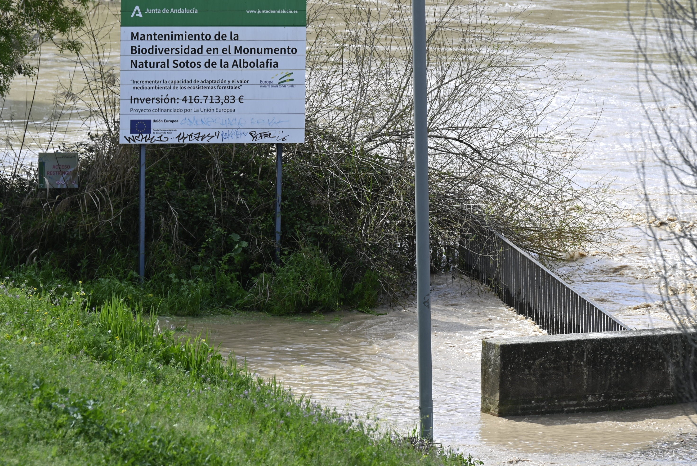 La inquietante crecida del río Guadalquivir a su paso por Córdoba, en imágenes