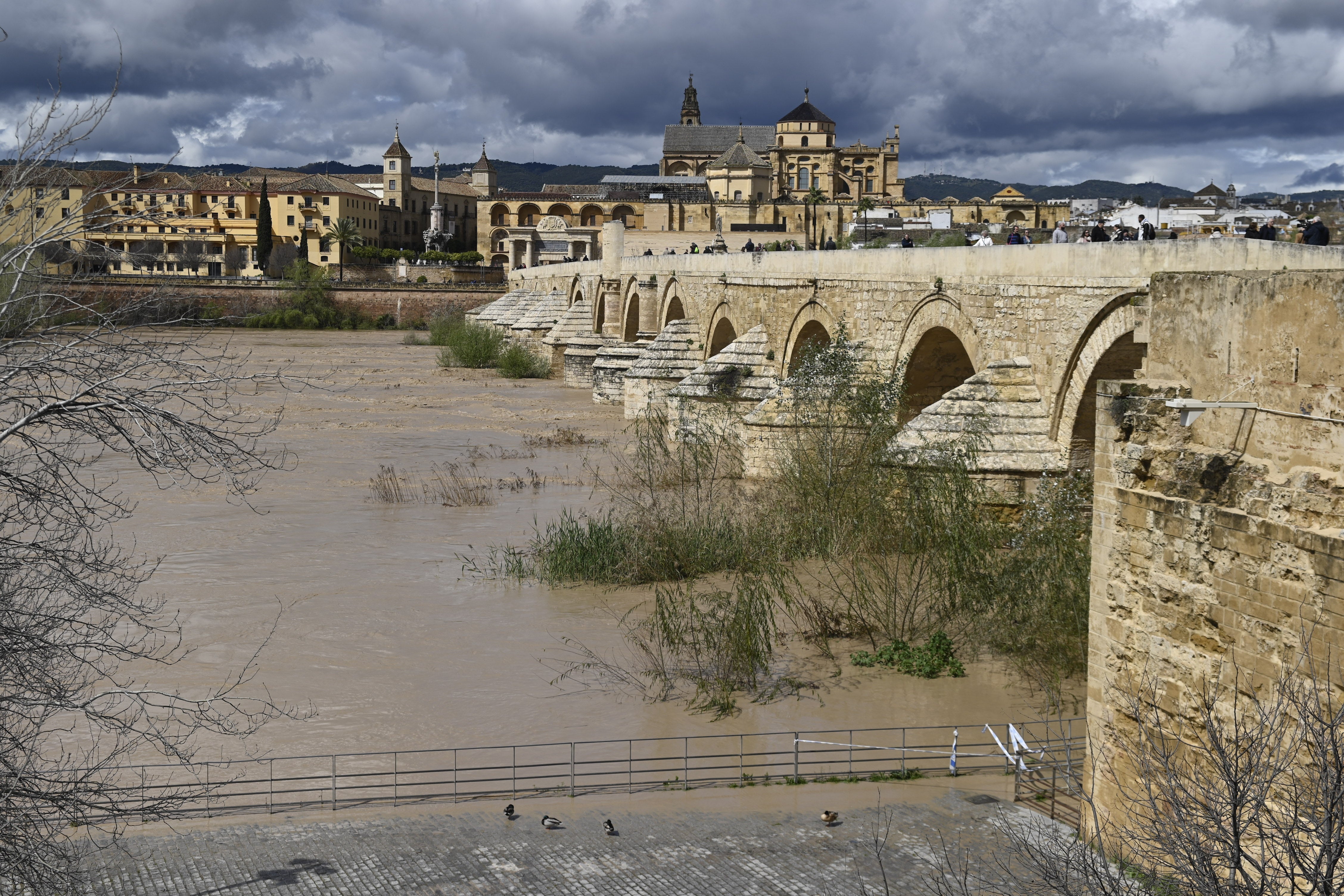 La inquietante crecida del río Guadalquivir a su paso por Córdoba, en imágenes