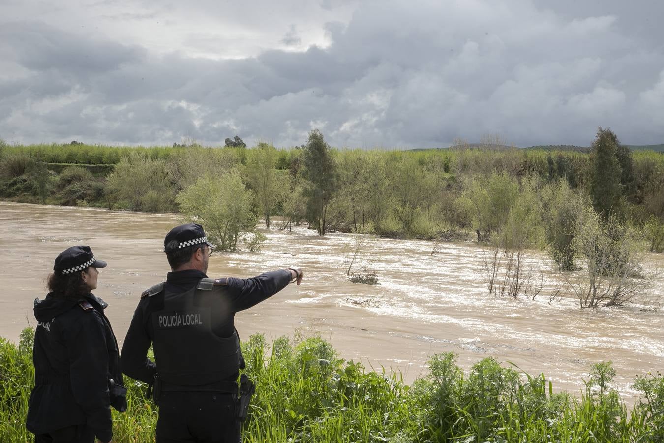Inquietud y tensión en las parcelas más cercanas al río en Córdoba