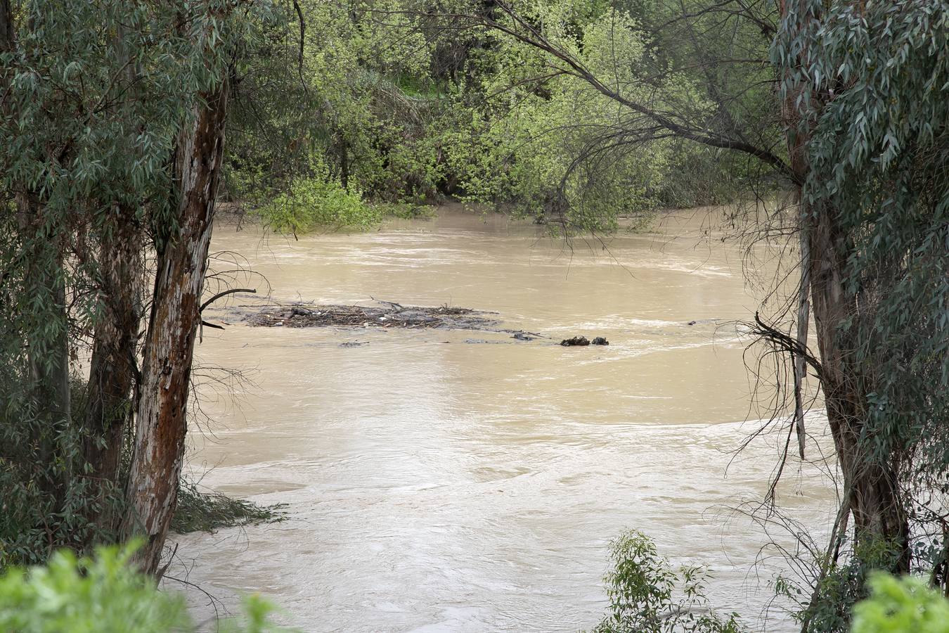 Inquietud y tensión en las parcelas más cercanas al río en Córdoba