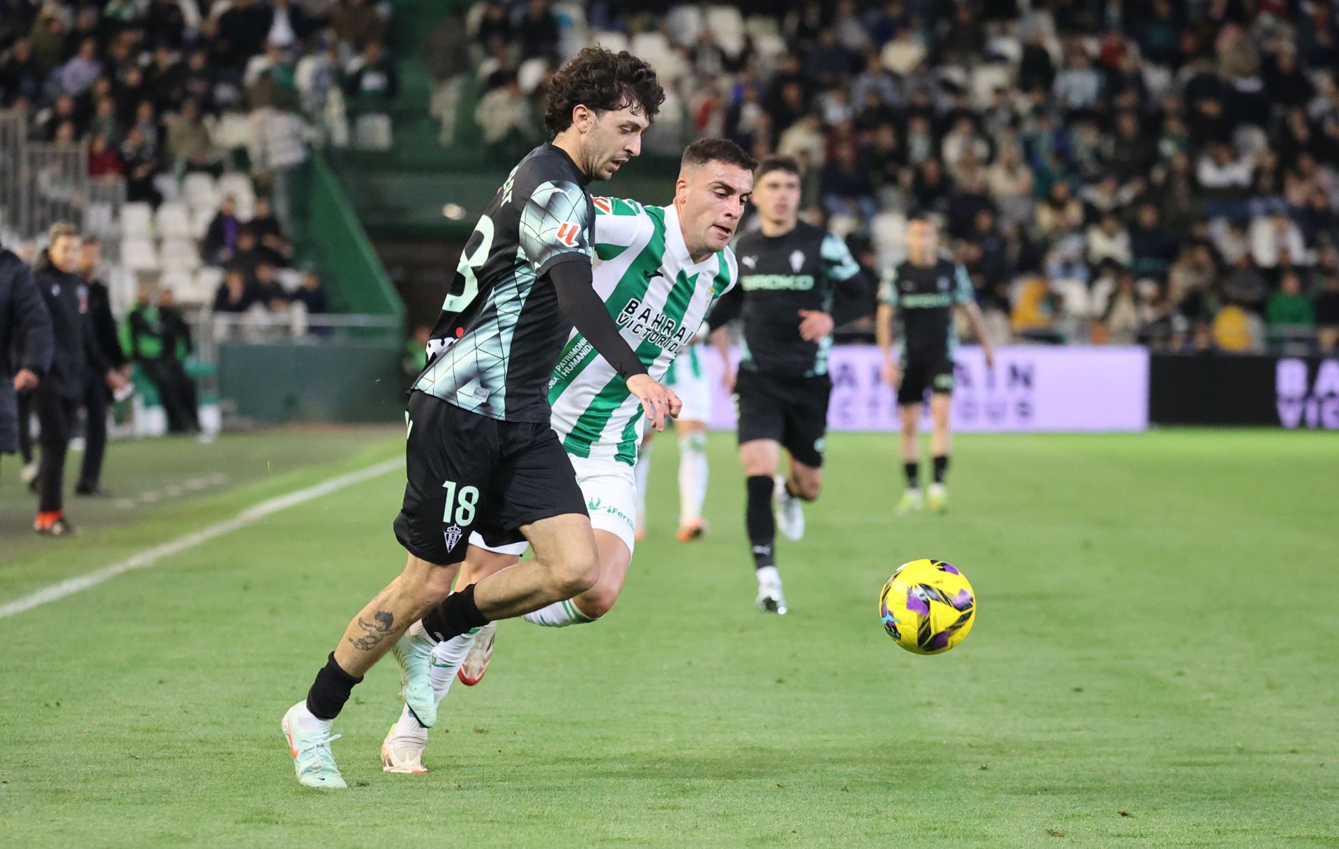 El empate del Córdoba CF ante el Sporting de Gijón, en imágenes