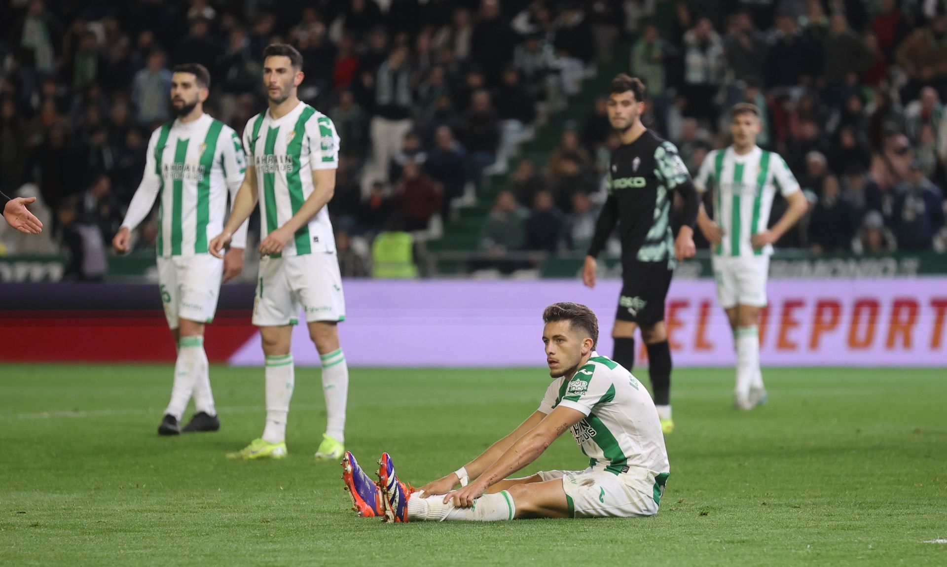 El empate del Córdoba CF ante el Sporting de Gijón, en imágenes