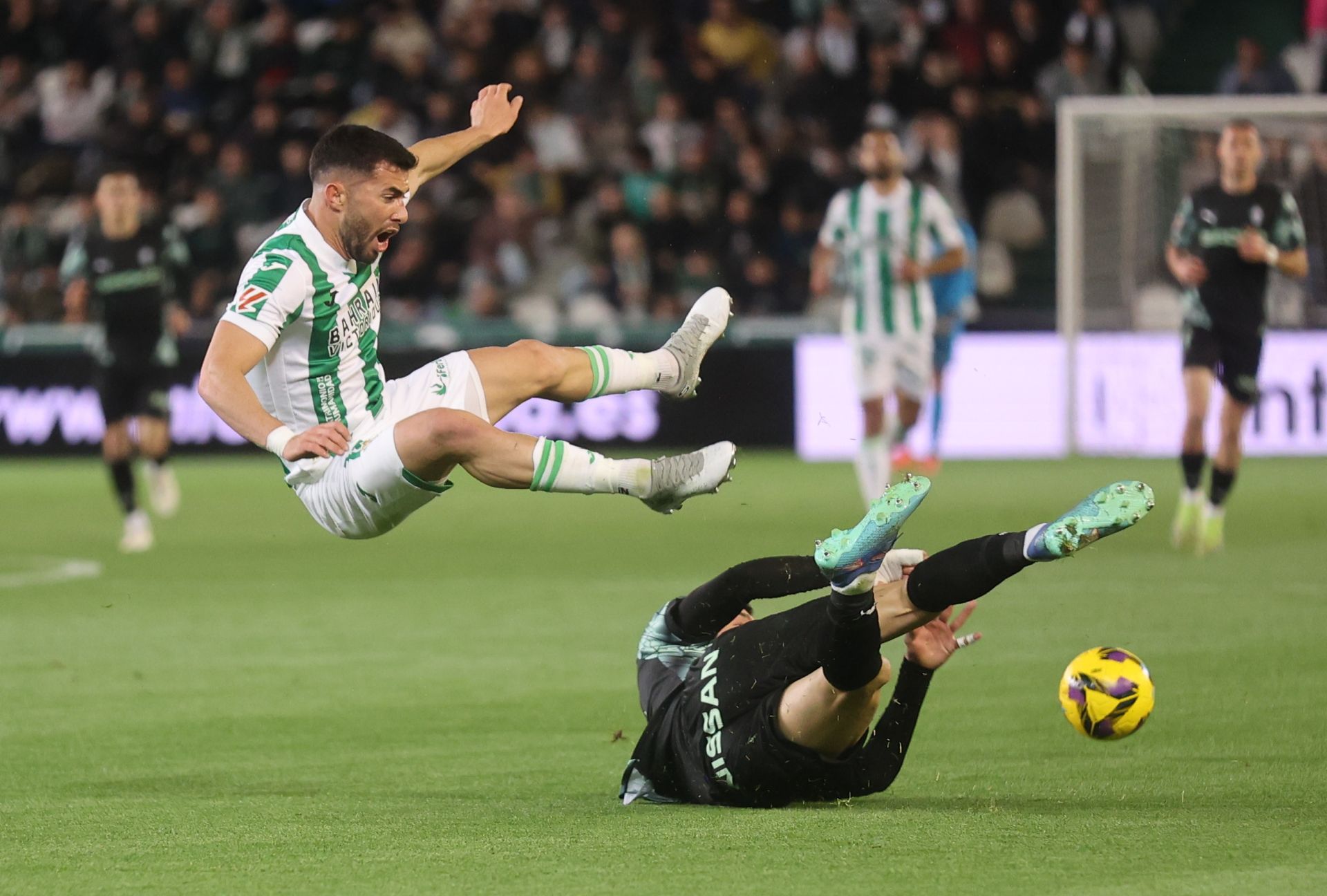 El empate del Córdoba CF ante el Sporting de Gijón, en imágenes