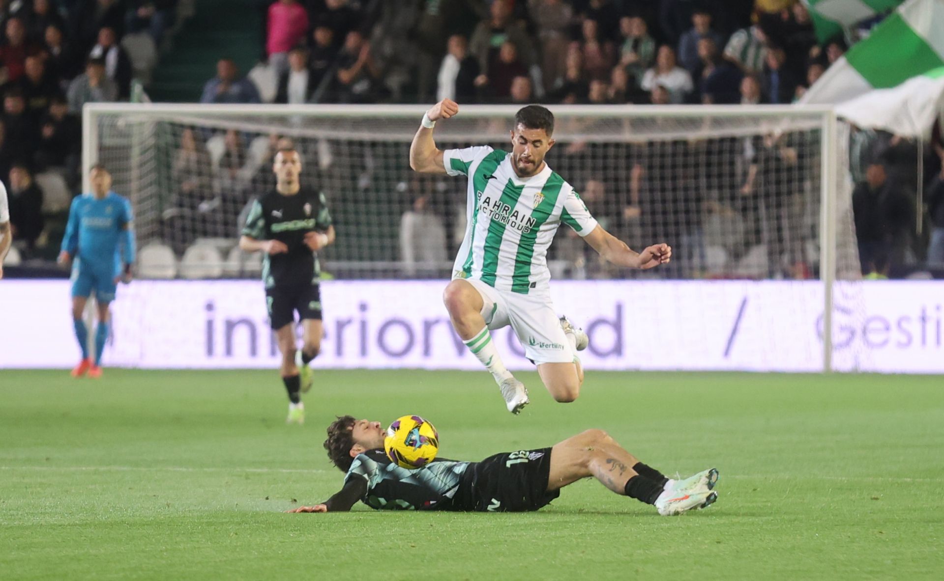 El empate del Córdoba CF ante el Sporting de Gijón, en imágenes