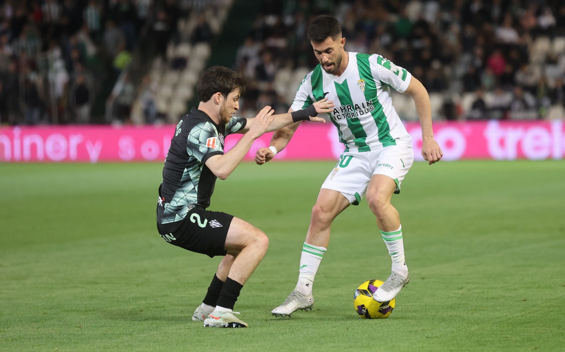 El empate del Córdoba CF ante el Sporting de Gijón, en imágenes