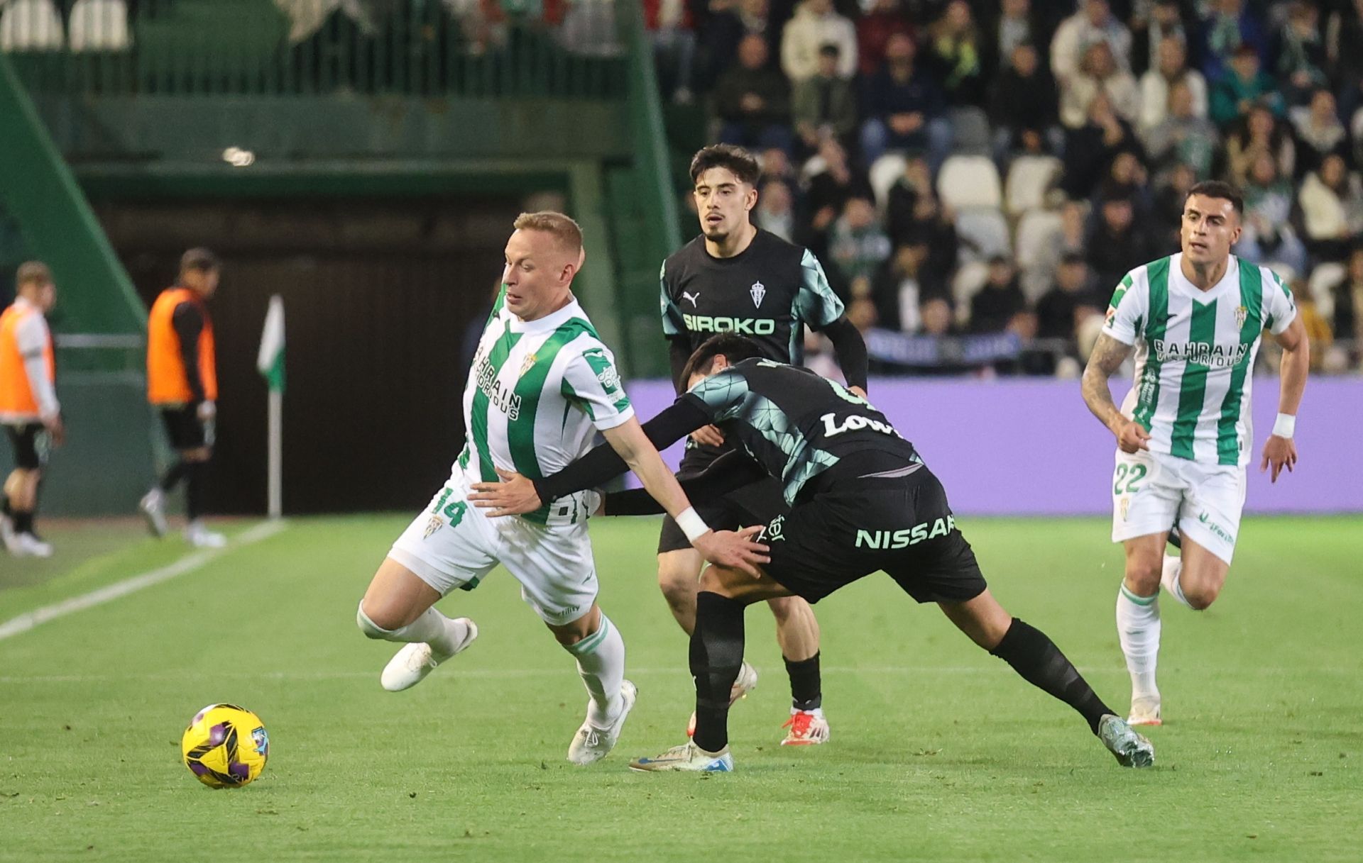 El empate del Córdoba CF ante el Sporting de Gijón, en imágenes