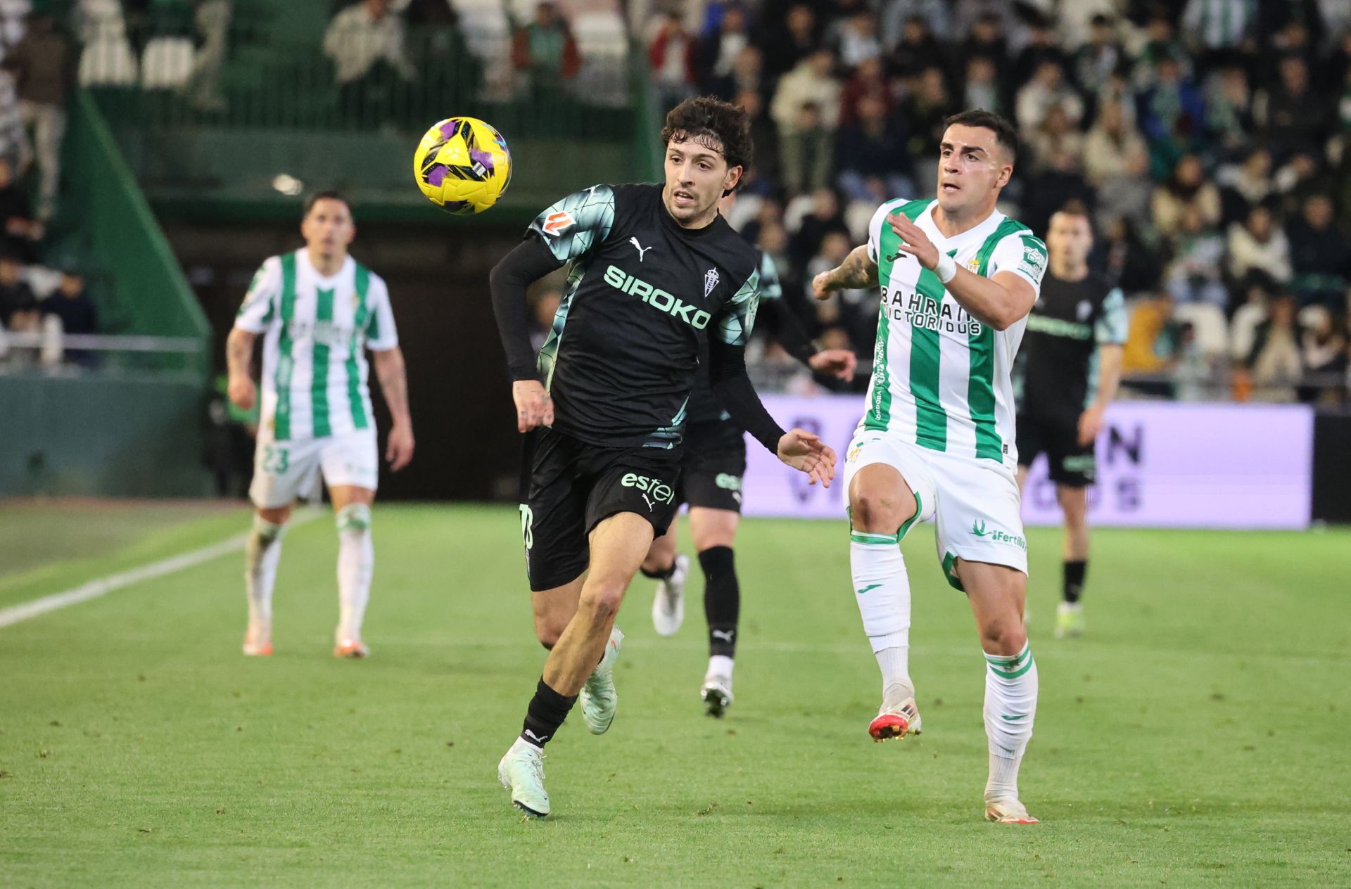 El empate del Córdoba CF ante el Sporting de Gijón, en imágenes