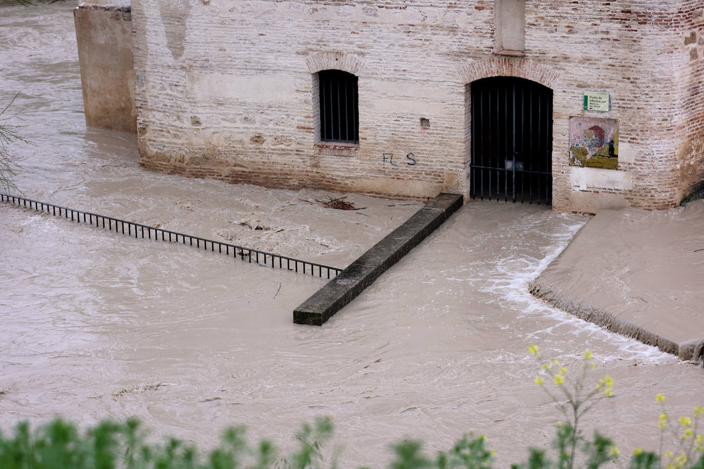 El impetuoso cauce del río Guadalquivir a su paso por Córdoba, en imágenes