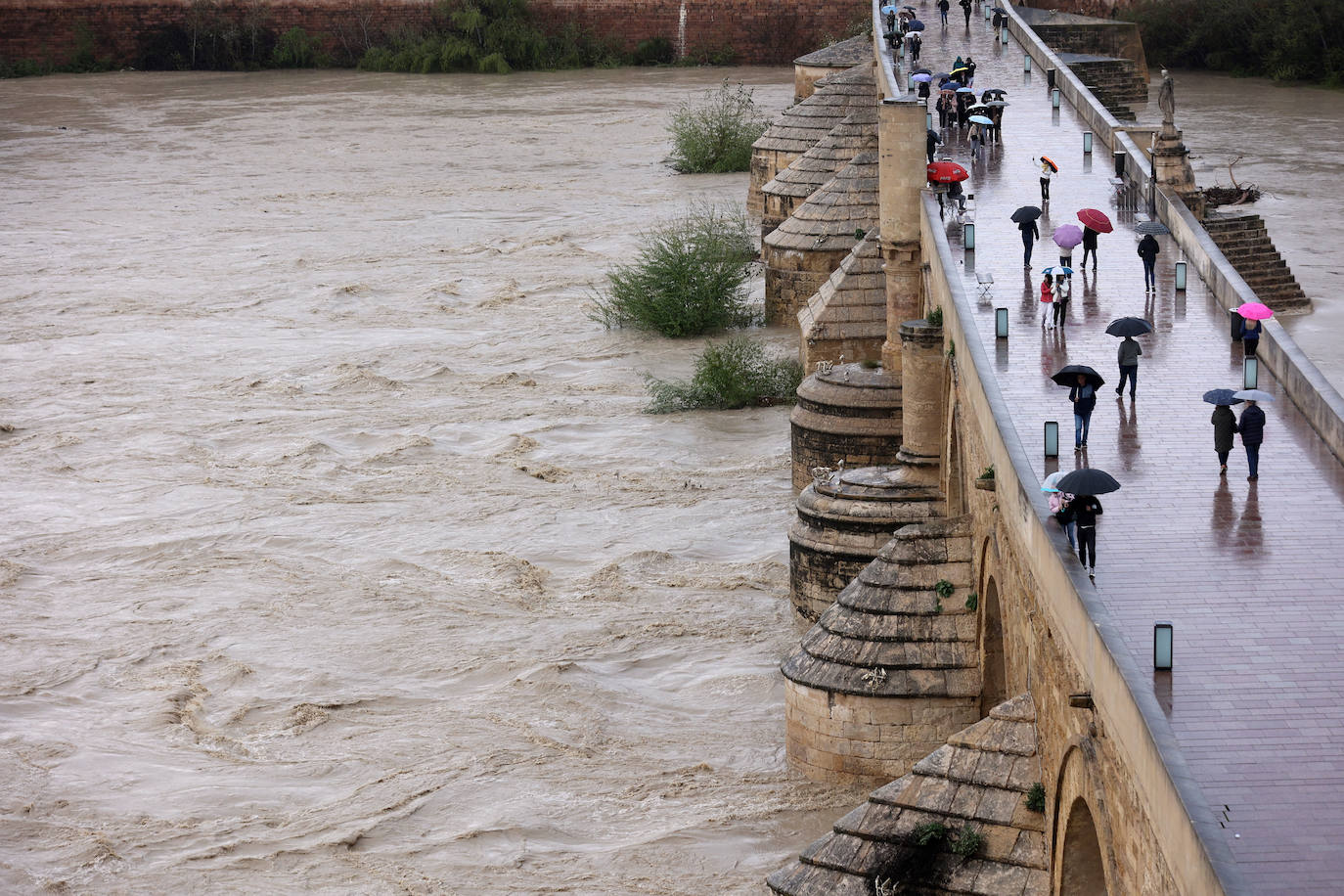 El impetuoso cauce del río Guadalquivir a su paso por Córdoba, en imágenes