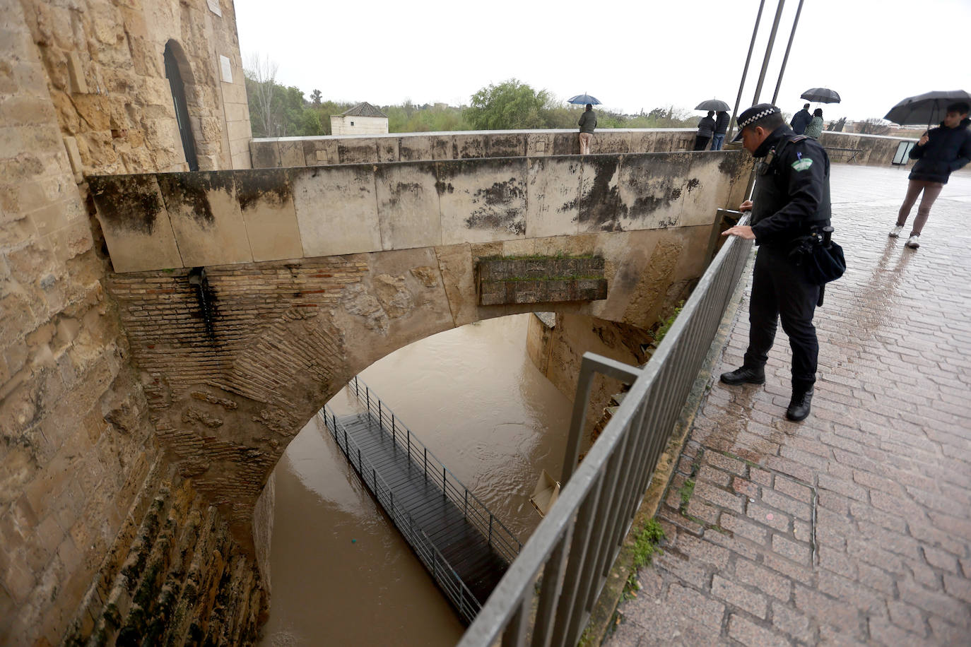 El impetuoso cauce del río Guadalquivir a su paso por Córdoba, en imágenes