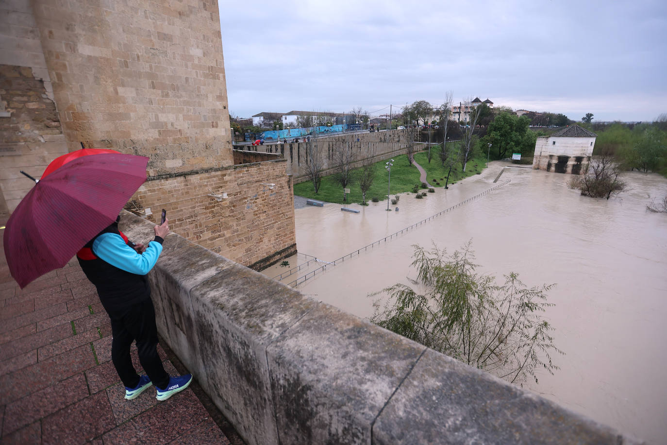 El impetuoso cauce del río Guadalquivir a su paso por Córdoba, en imágenes
