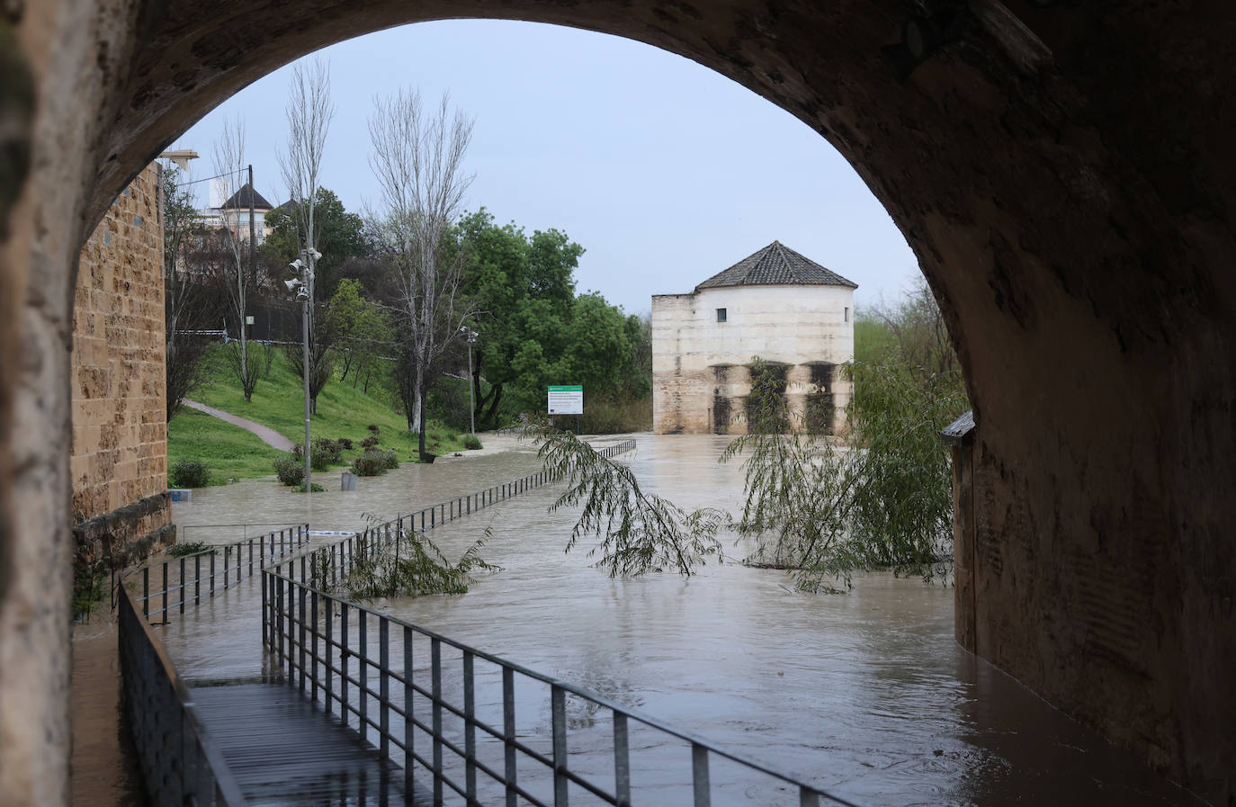 El impetuoso cauce del río Guadalquivir a su paso por Córdoba, en imágenes