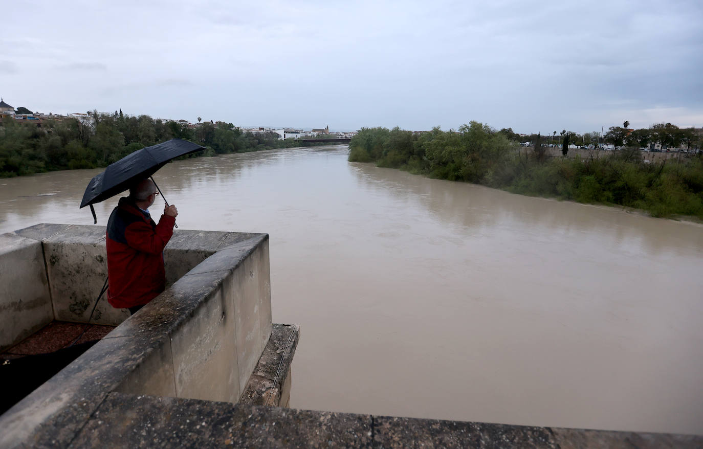 El impetuoso cauce del río Guadalquivir a su paso por Córdoba, en imágenes
