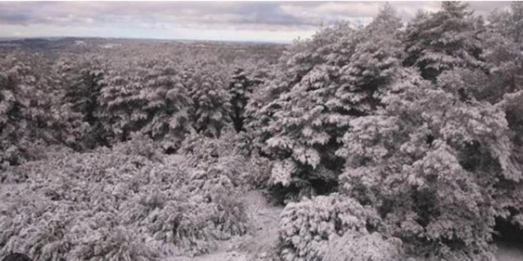 La borrasca Laurence dejará fuertes lluvias y nieve en Castilla-La Mancha