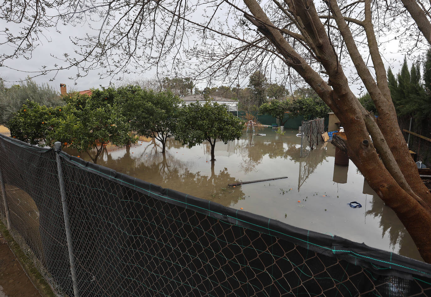 El desolador aspecto de las viviendas anegadas junto al río en Córdoba, en imágenes