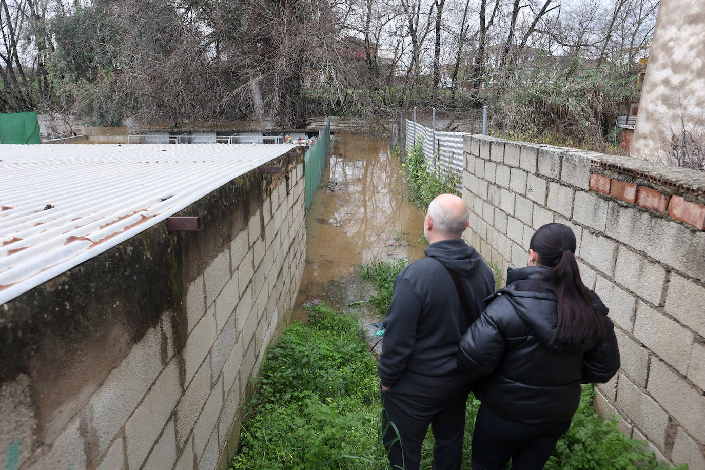 El desolador aspecto de las viviendas anegadas junto al río en Córdoba, en imágenes