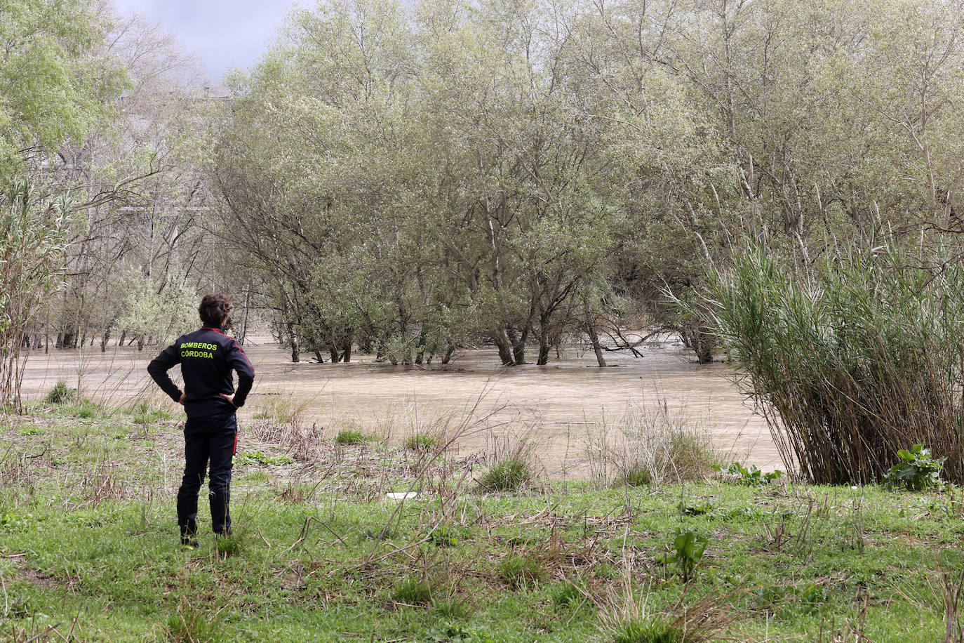 El desolador aspecto de las viviendas anegadas junto al río en Córdoba, en imágenes